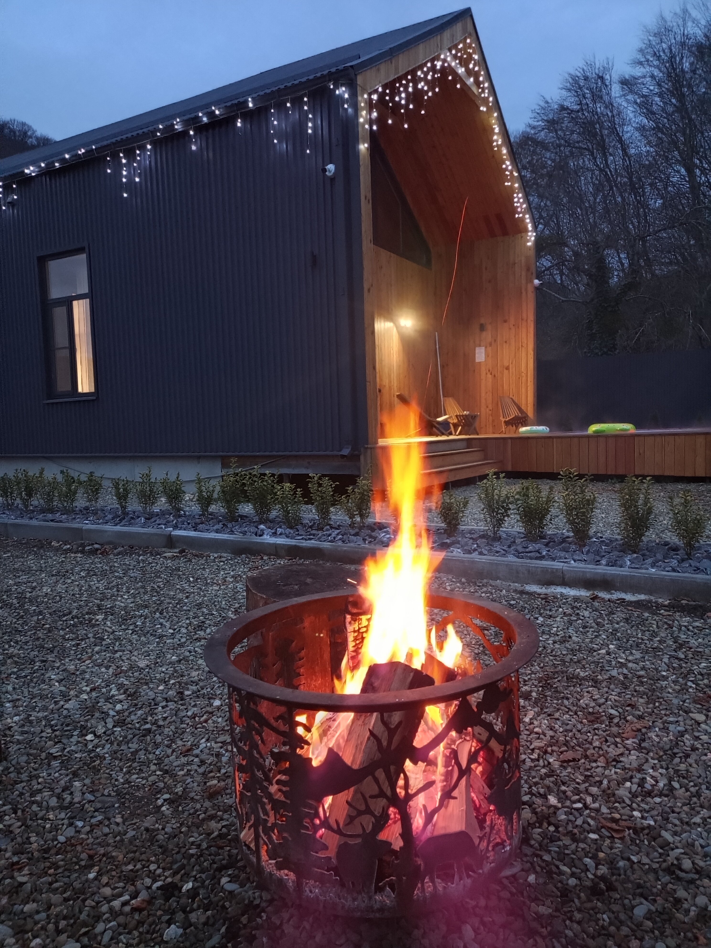 Фото Лес и Горы