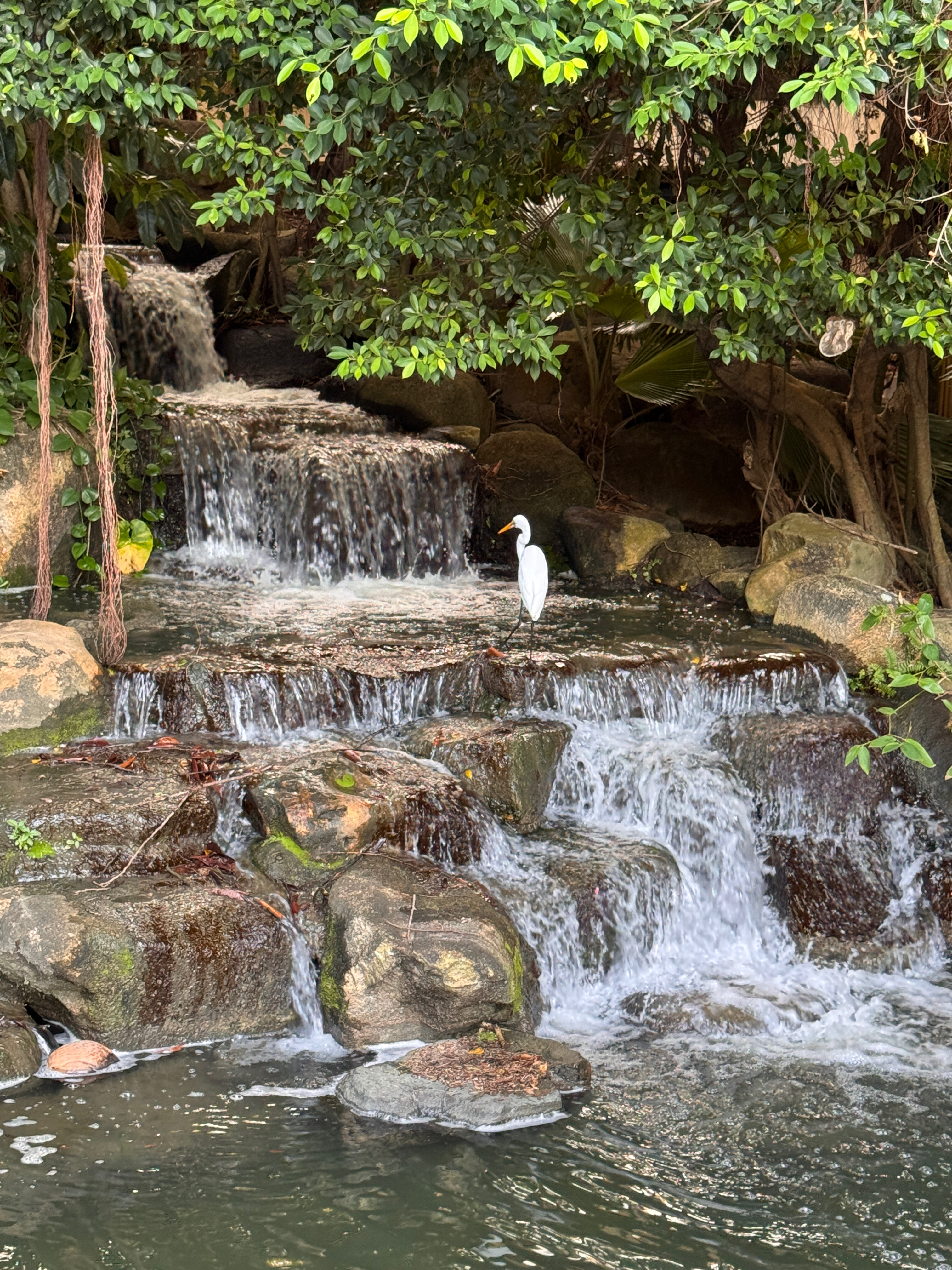 Фото Pullman Phuket Karon Beach Resort