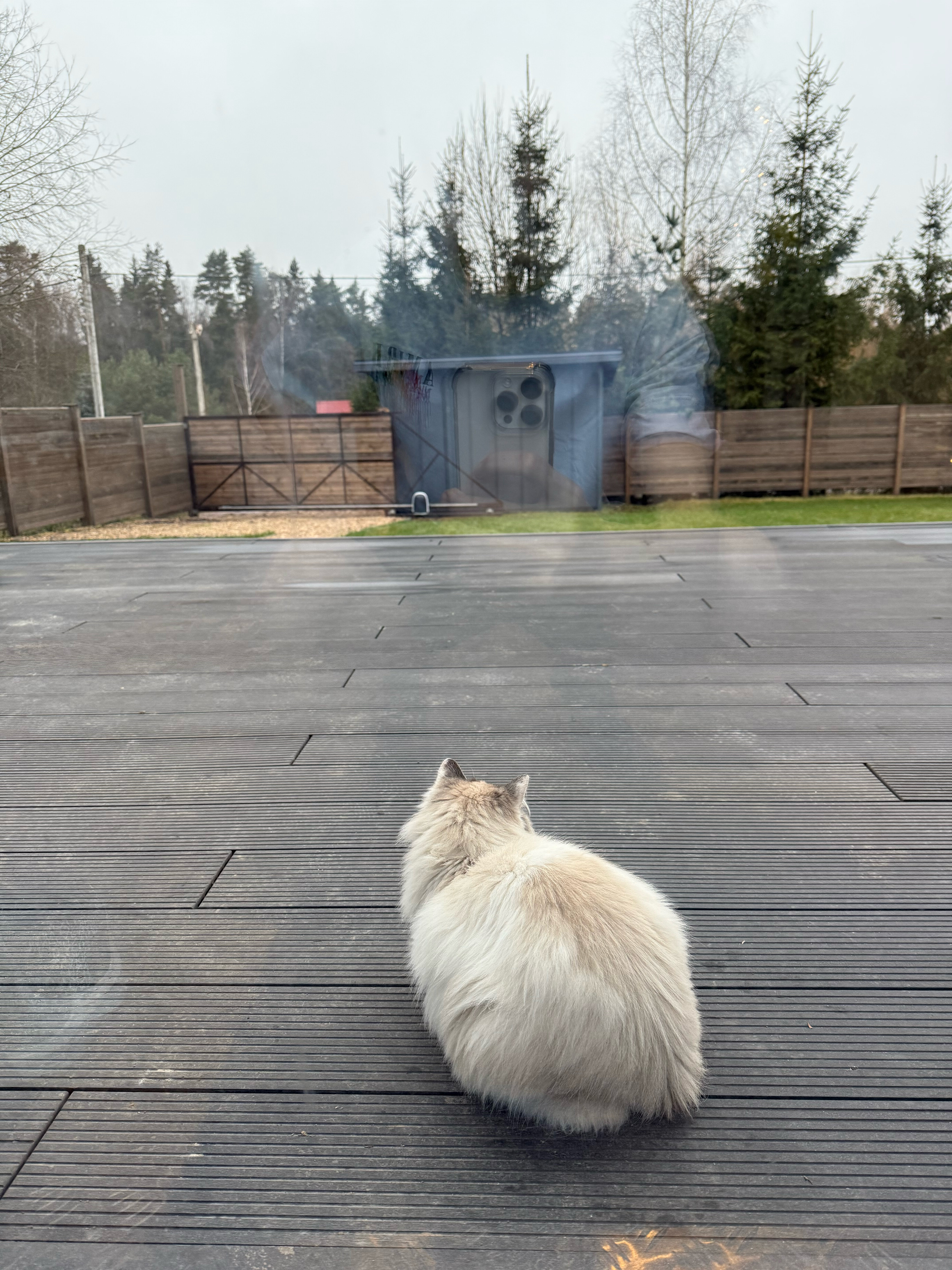 Фото Ели тут