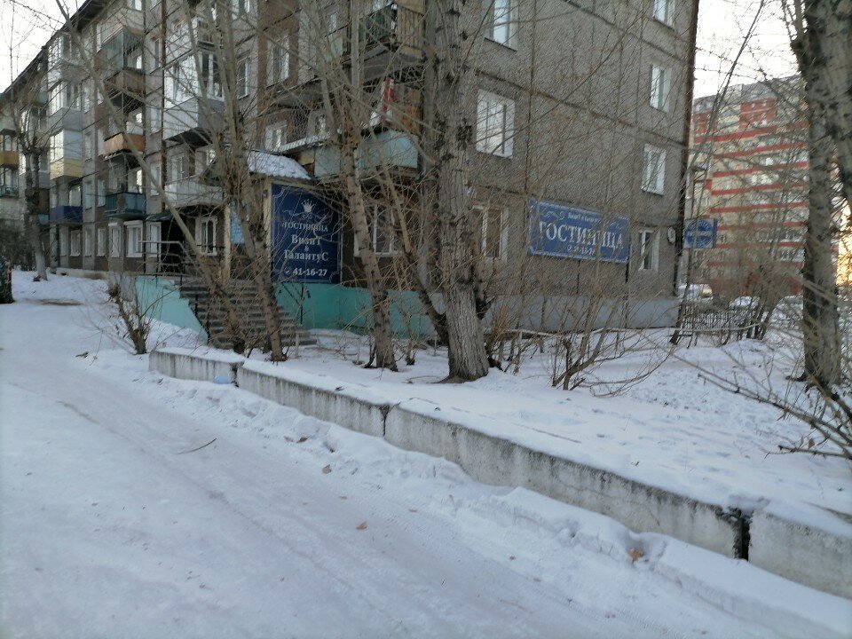 Фото Галантус