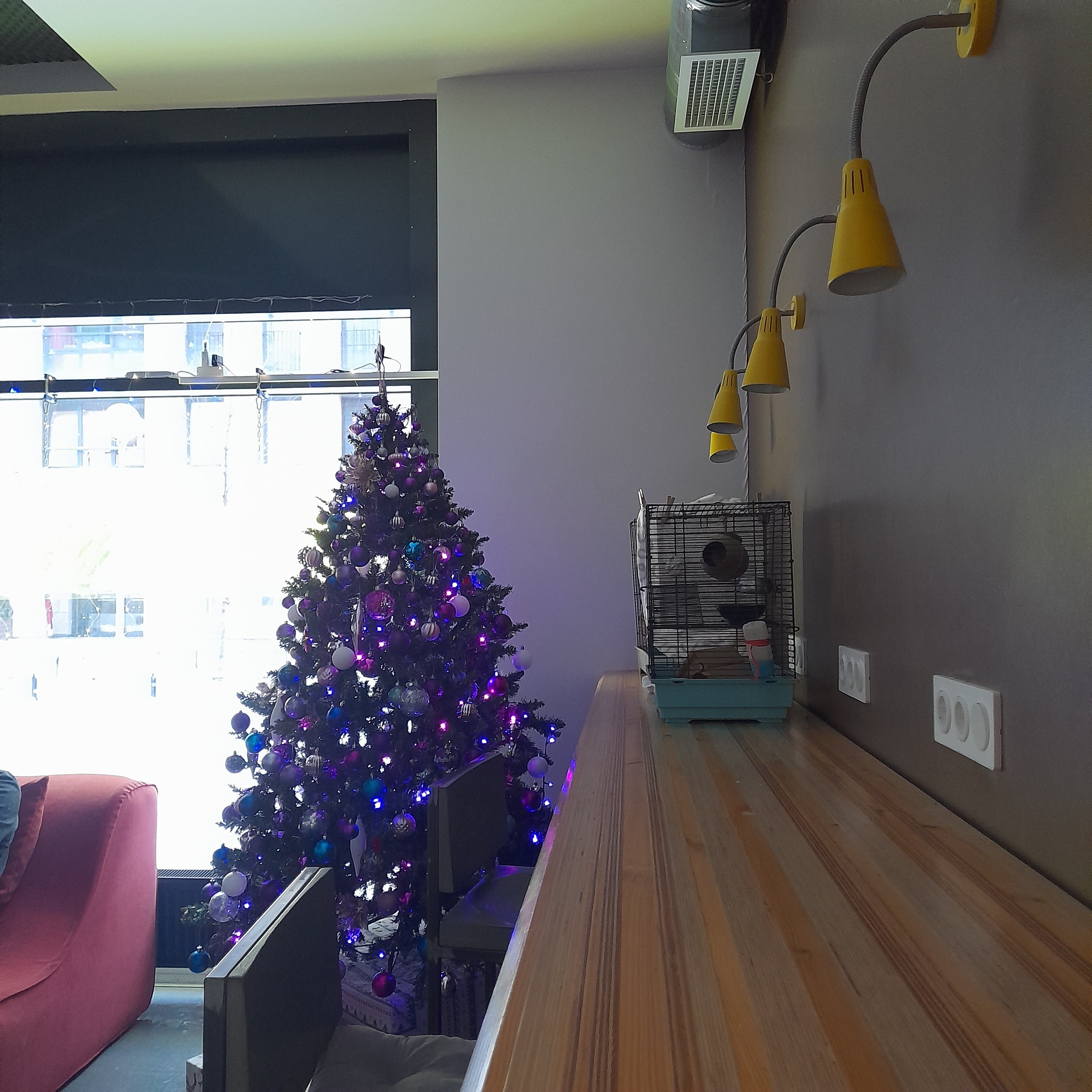 Фото Twin Cities Melbourne