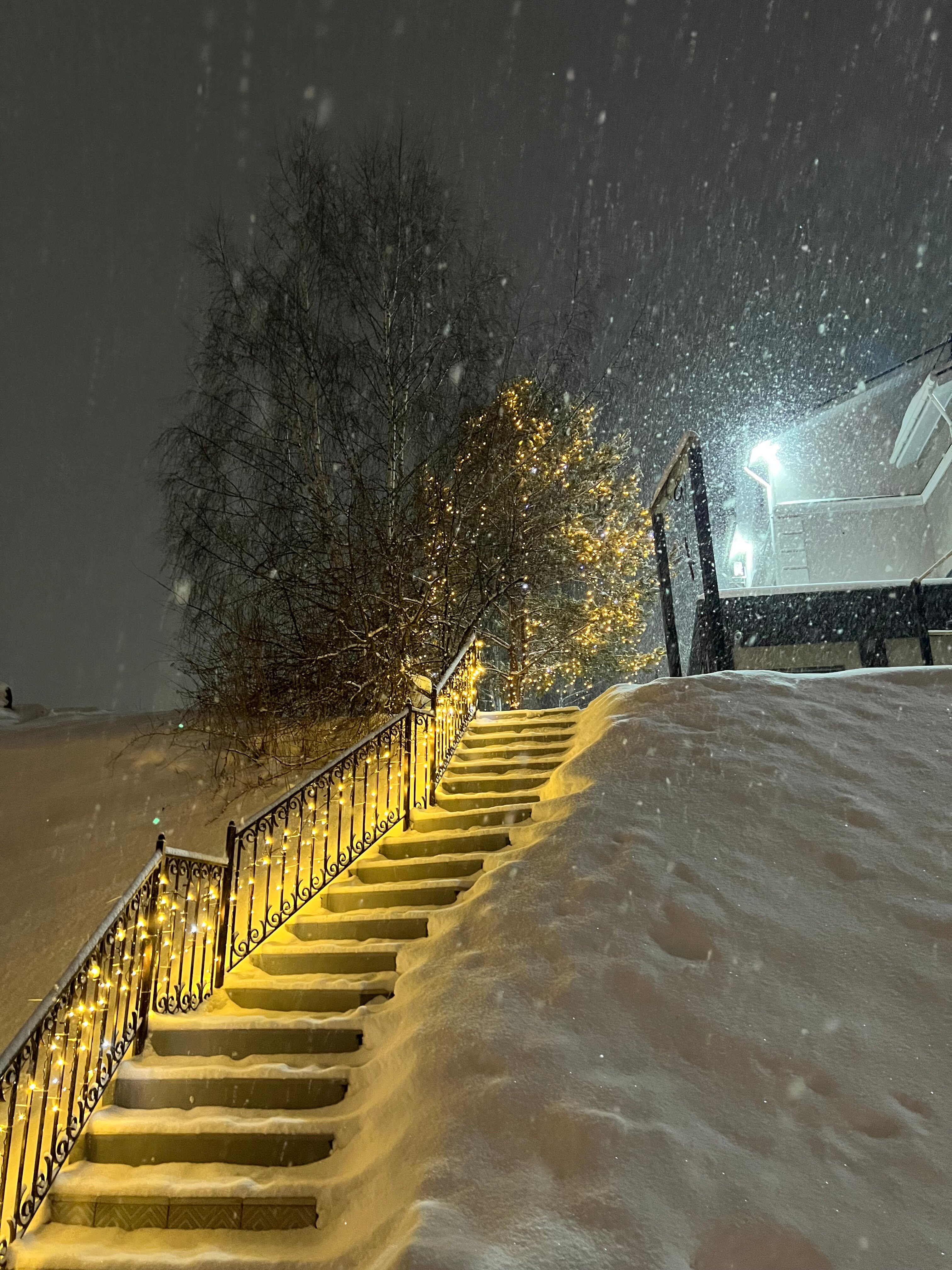 Фото Бельмонт