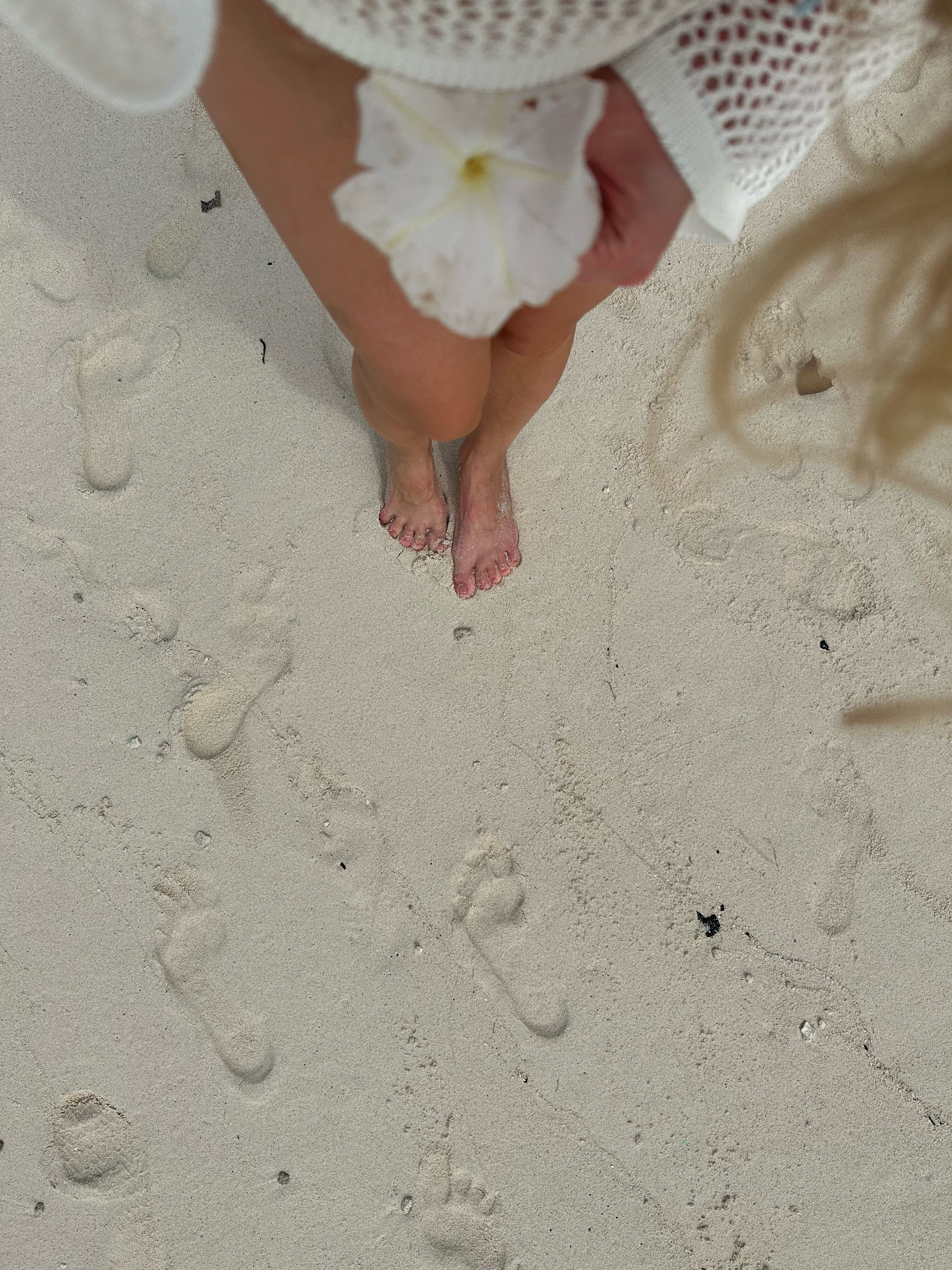 Фото Clarks Exotica Kamadhoo Maldives
