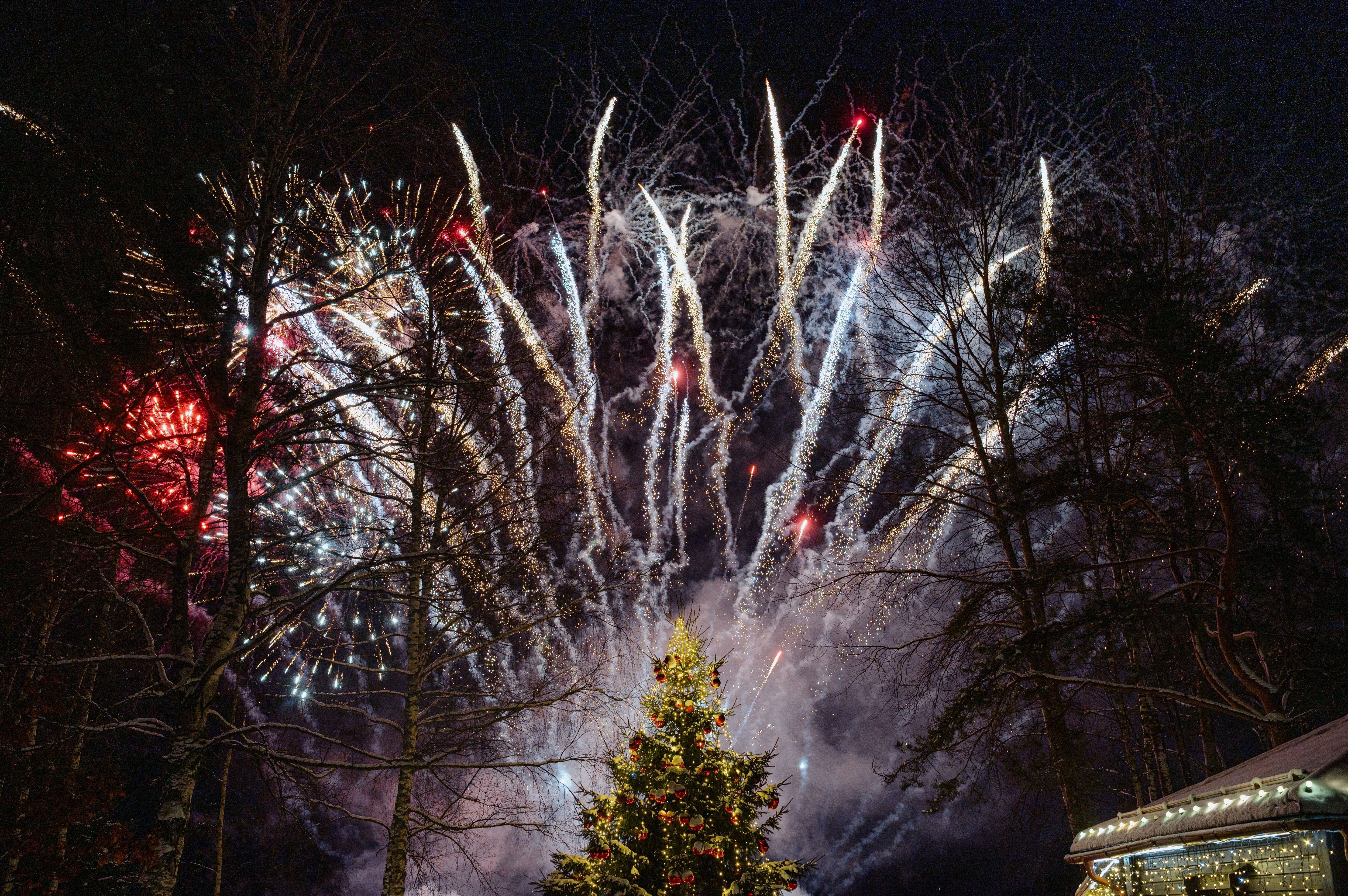 Фото Красный Бор