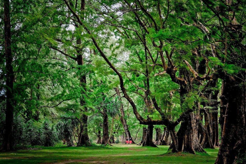 Фото Naiyang Park Resort