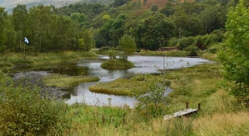 Гостиница MacDonald Cabins в Области Хайленд