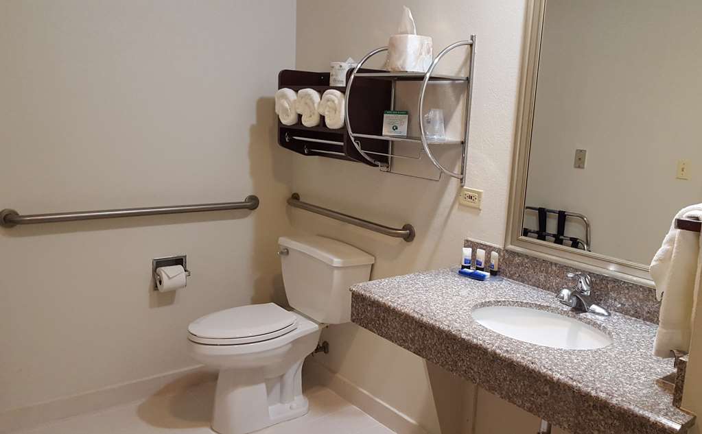 Фото Best Western Plus O'Hare International South Hotel