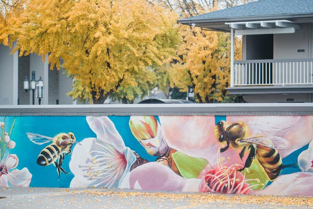 Фото Best Western Town House Lodge