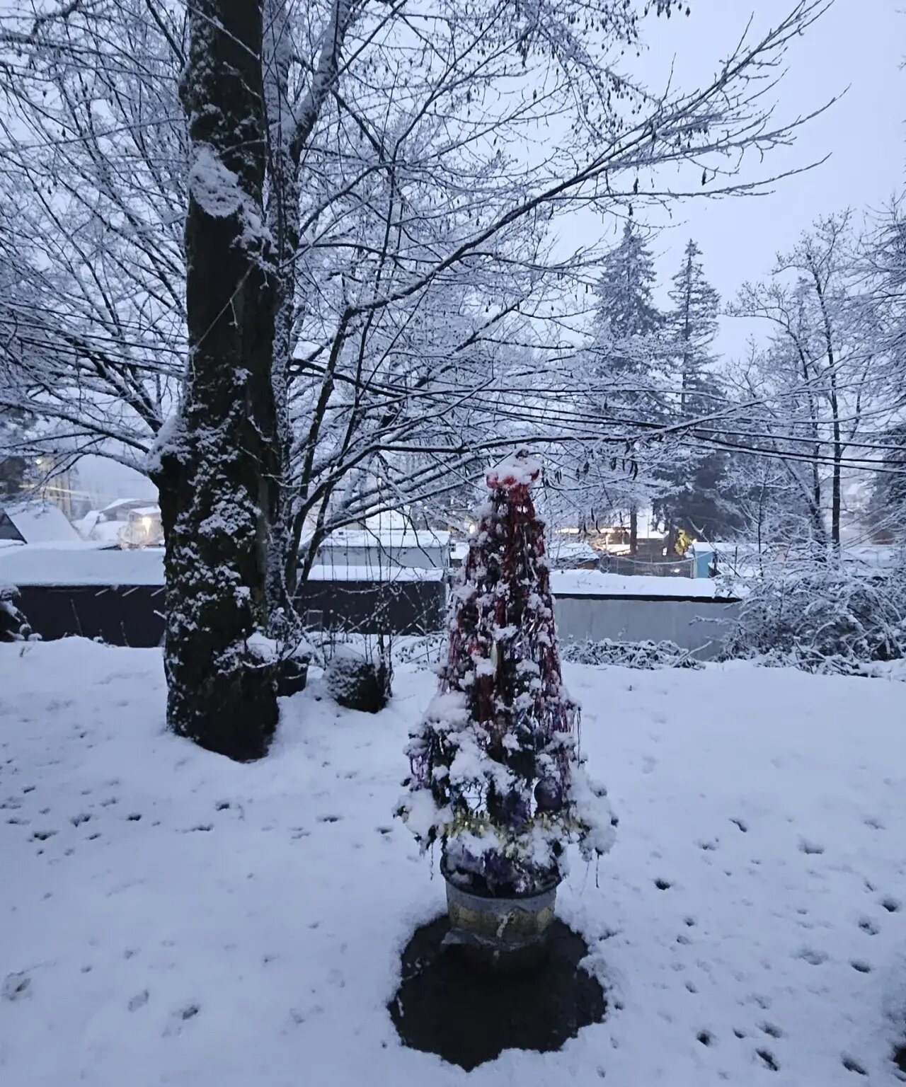 Фото Хутор Романовский