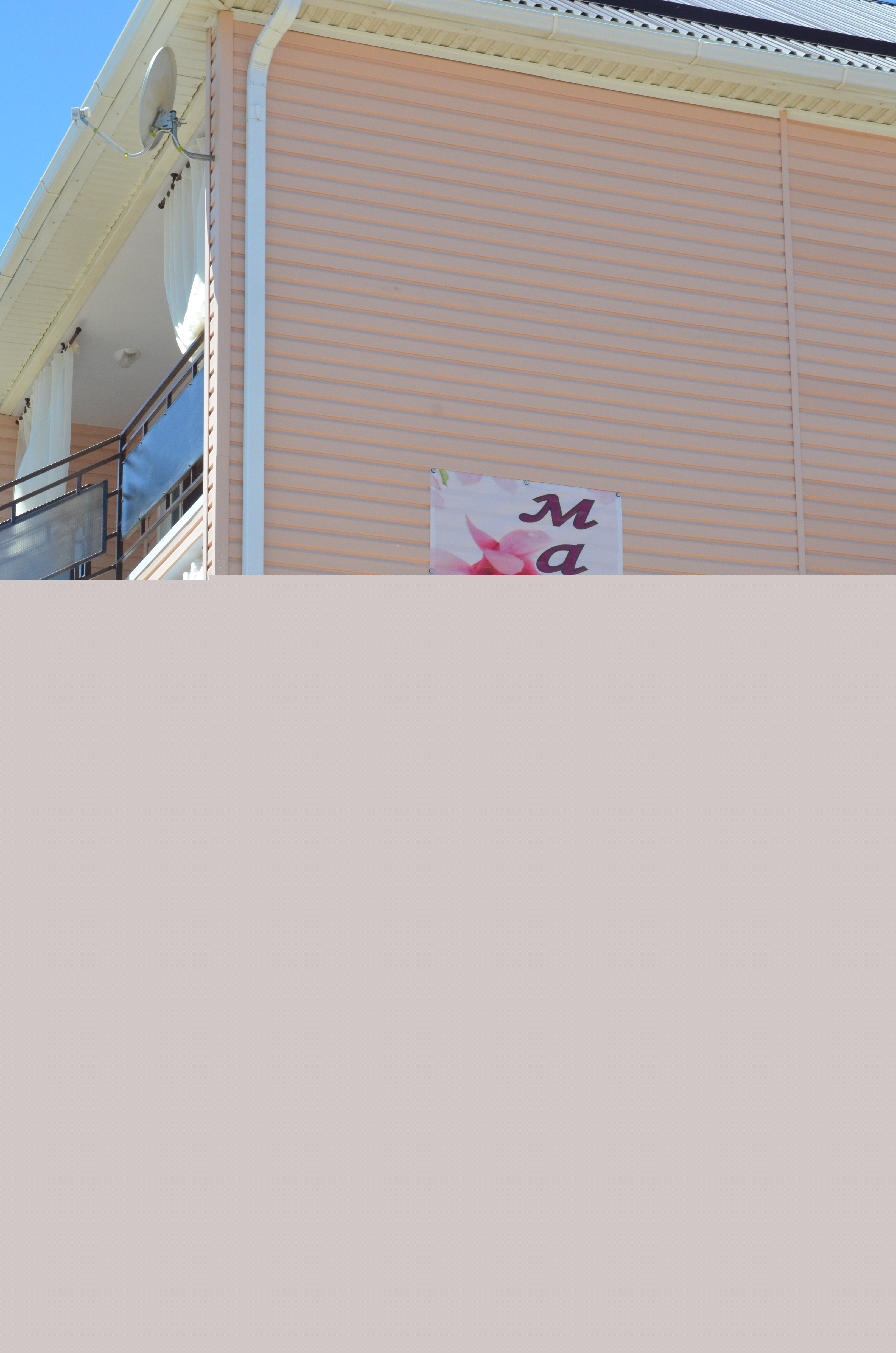 Фото Магнолия