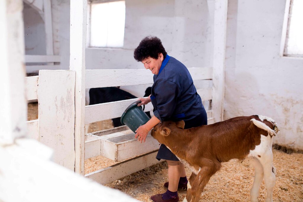 Молочная продукция оптом Усадьба Касакина, Набережные Челны, фото