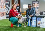 American bully kennel Tarus bully. land (Volokolamskoye Highway, 4/1) ، مربي الحيوانات