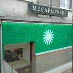 MegaFlowers (ул. Цвиллинга, 36), доставка цветов и букетов в Челябинске