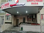 Пиво со всего мира (Molodyozhnaya Street, 64), beer shop