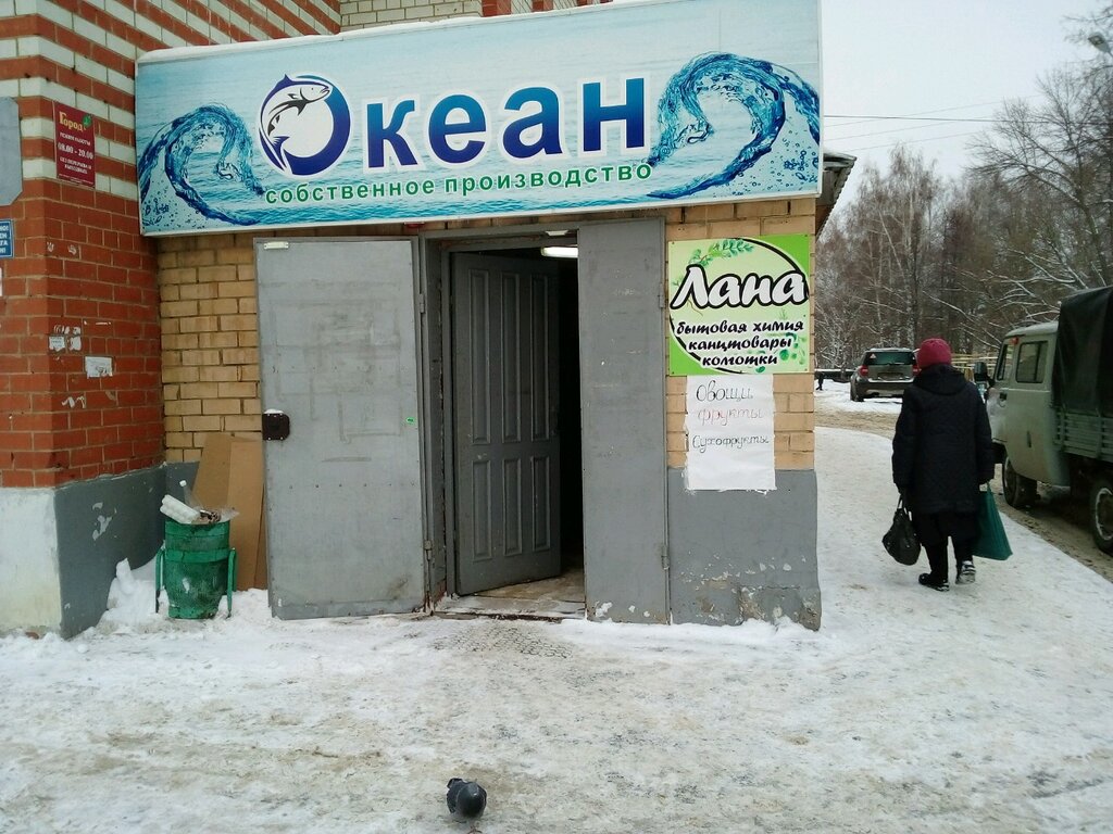 Магазин Океан Саранск Режим