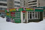 Tsvety (Kamenskaya ulitsa, 83Б), flower shop
