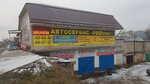 PROspekt (prospekt Stroiteley, 29Б), car service, auto repair