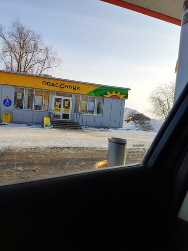 Gas station Rosneft', Penza Oblast, photo
