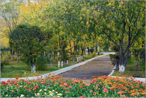 сквер имени С.С. Покровского (Trans-Baikal Territory, Krasnokamensk, skver imeni S.S. Pokrovskogo) ، منتزه