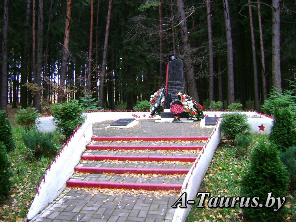 Monument, memorial Братская могила советских лётчиков, Minsk District, photo