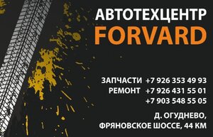 Forvard (derevnya Ogudnevo, territoriya Vostok, 3), car service, auto repair