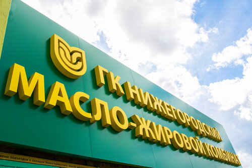 Жалаңаш Йо Мишель