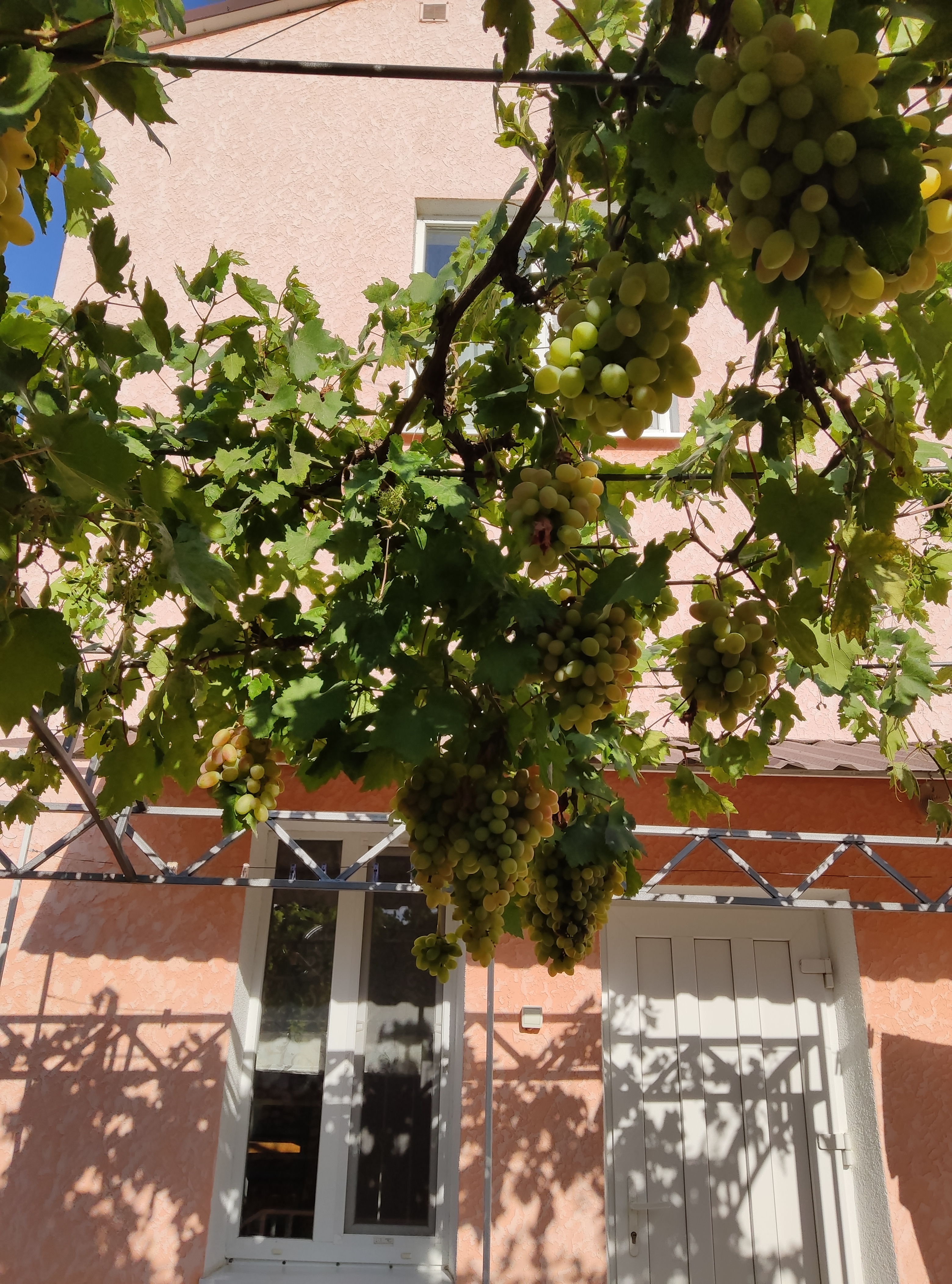 Фото Постоялый двор