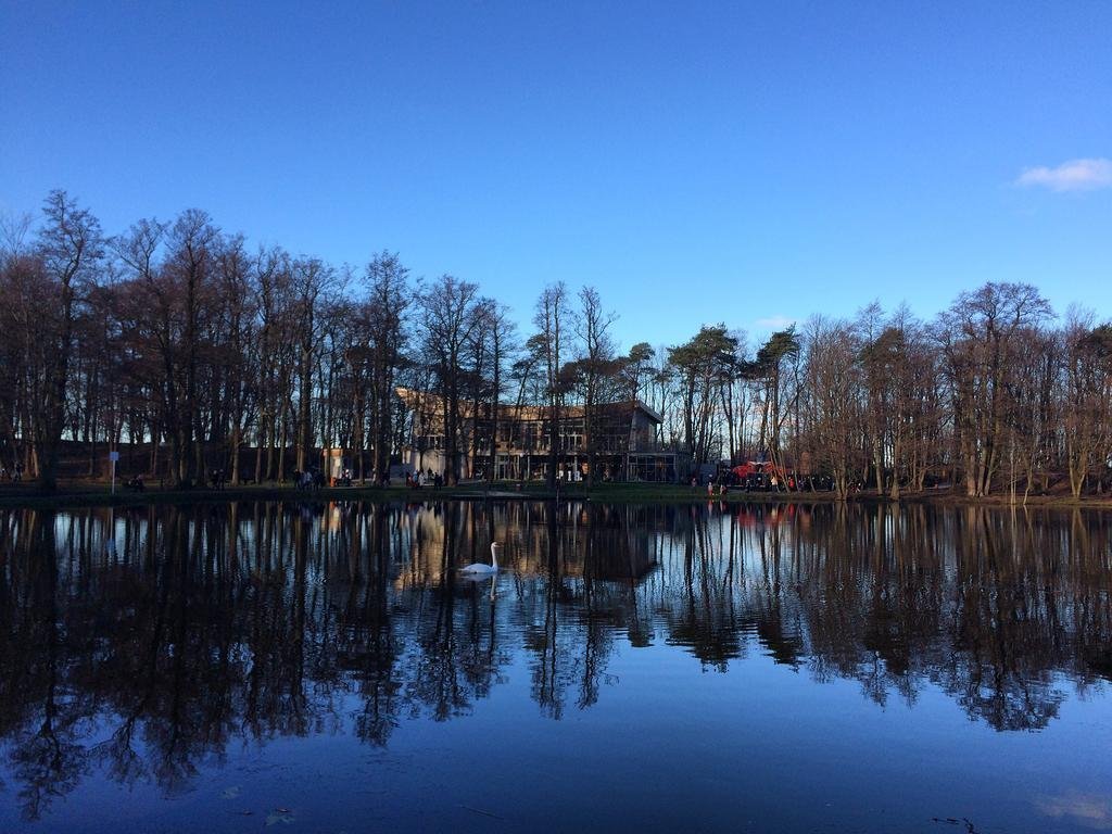 Фото Кошкин дом