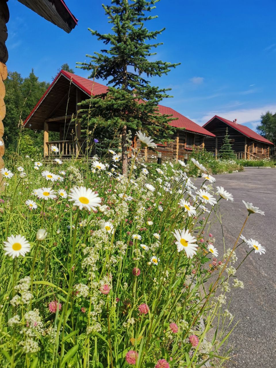 Фото 69 Параллель