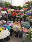Flowers on Sunny street (Mokshino Village, Solnechnaya ulitsa, 9А) ، محل زهور