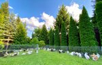 Silk-kingdom (Moscow Region, Dmitrovskiy Urban District, derevnya Lupanovo) ، مزرعة ماشية