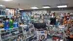 Shushary-Avto (Visherskaya Street, 18), tienda de repuestos y artículos para automóviles