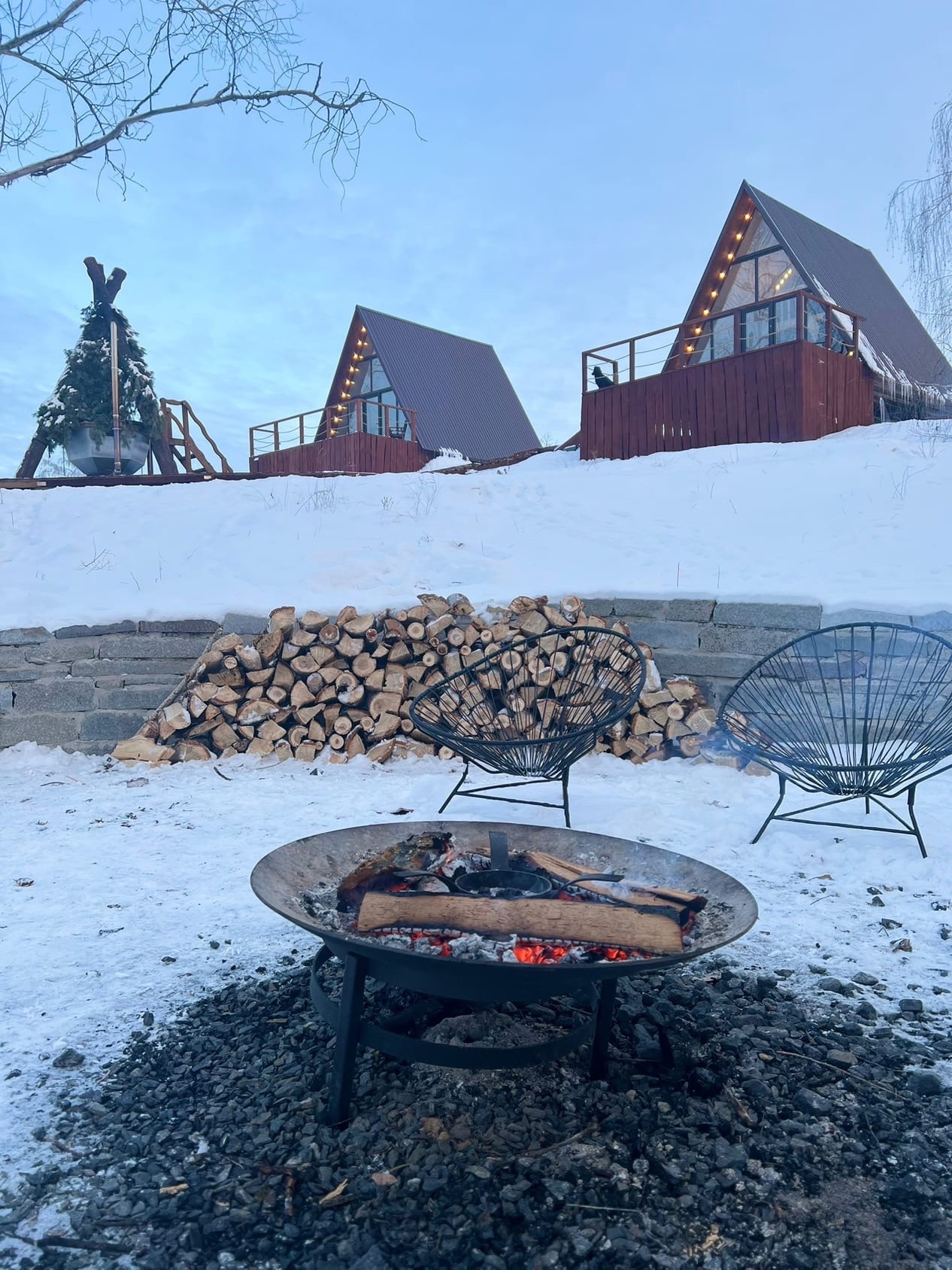 Фото Лес Да Река