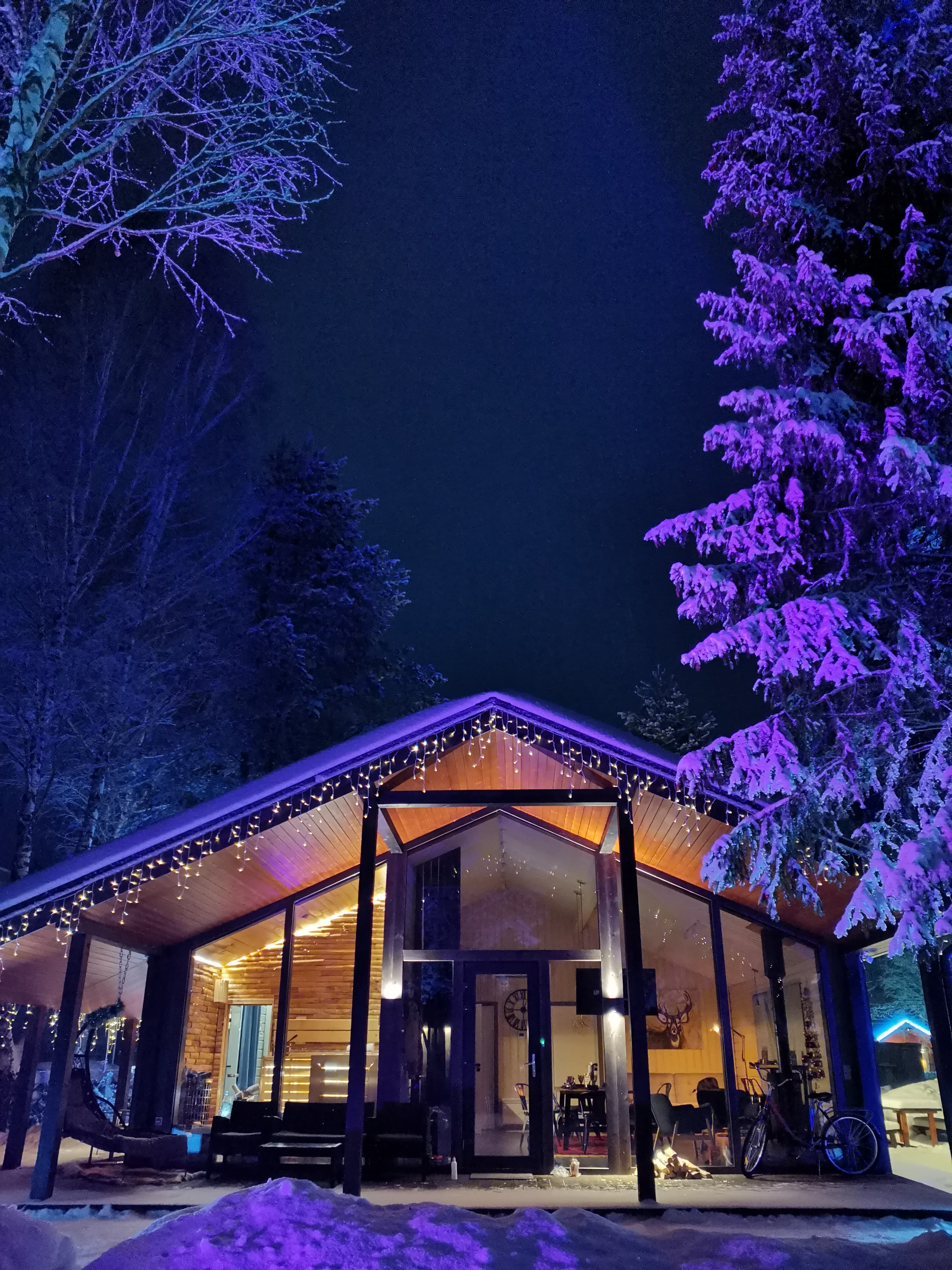 Фото Домик в соснах