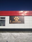 ИП Космачев Д. Н. (derevnya Novyye Bateki, Vitebskaya ulitsa, 19А), pet shop