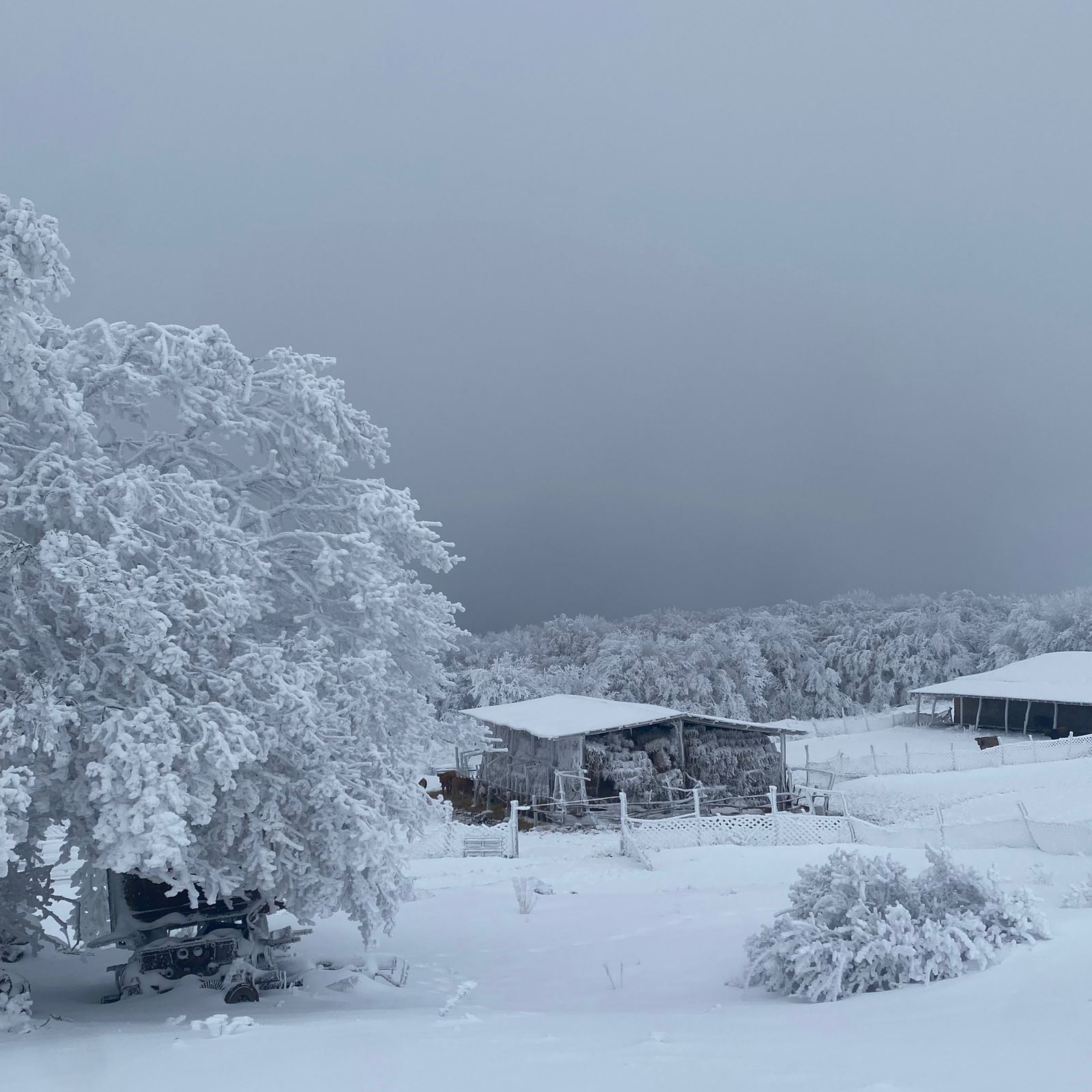 Фото КФХ Родник