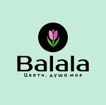 Balala (ул. Горького, 2), магазин цветов в Черкесске
