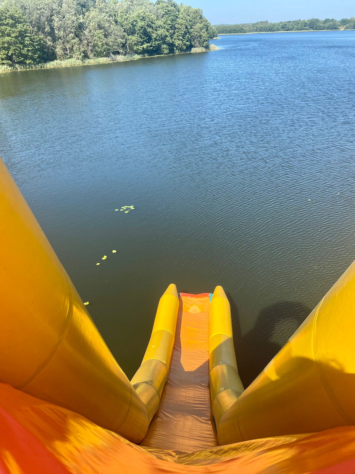 Фото Лесная гавань