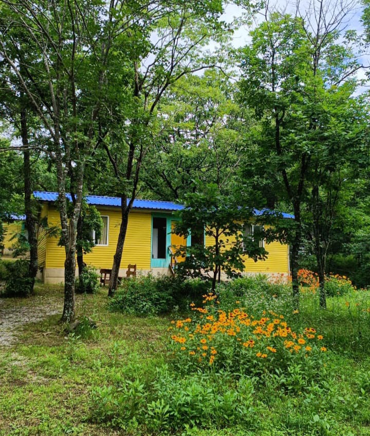 Фото Камень Льва