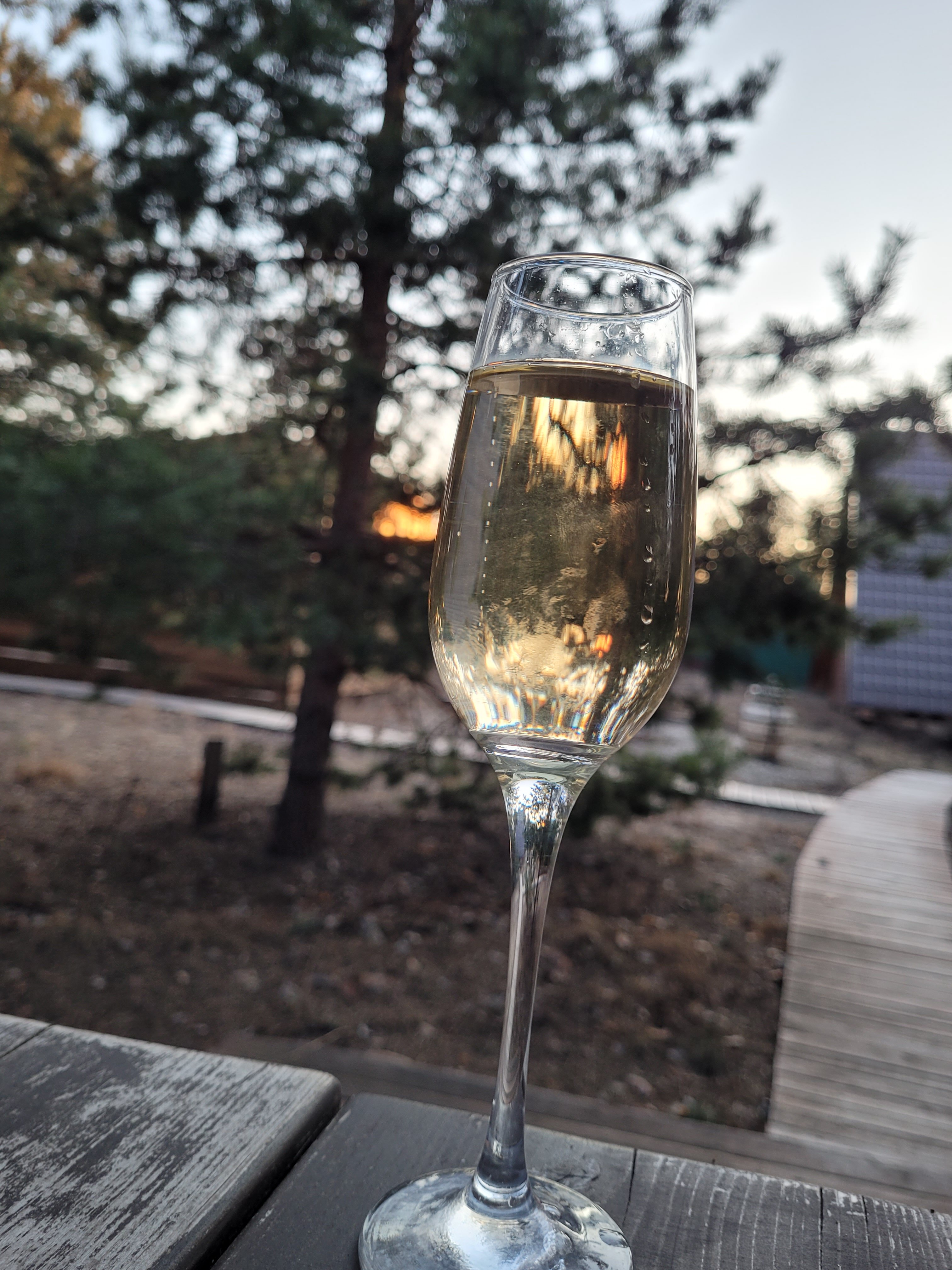 Фото Мишкино