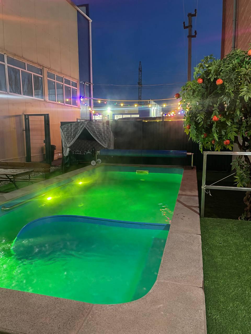 Фото Наутилус