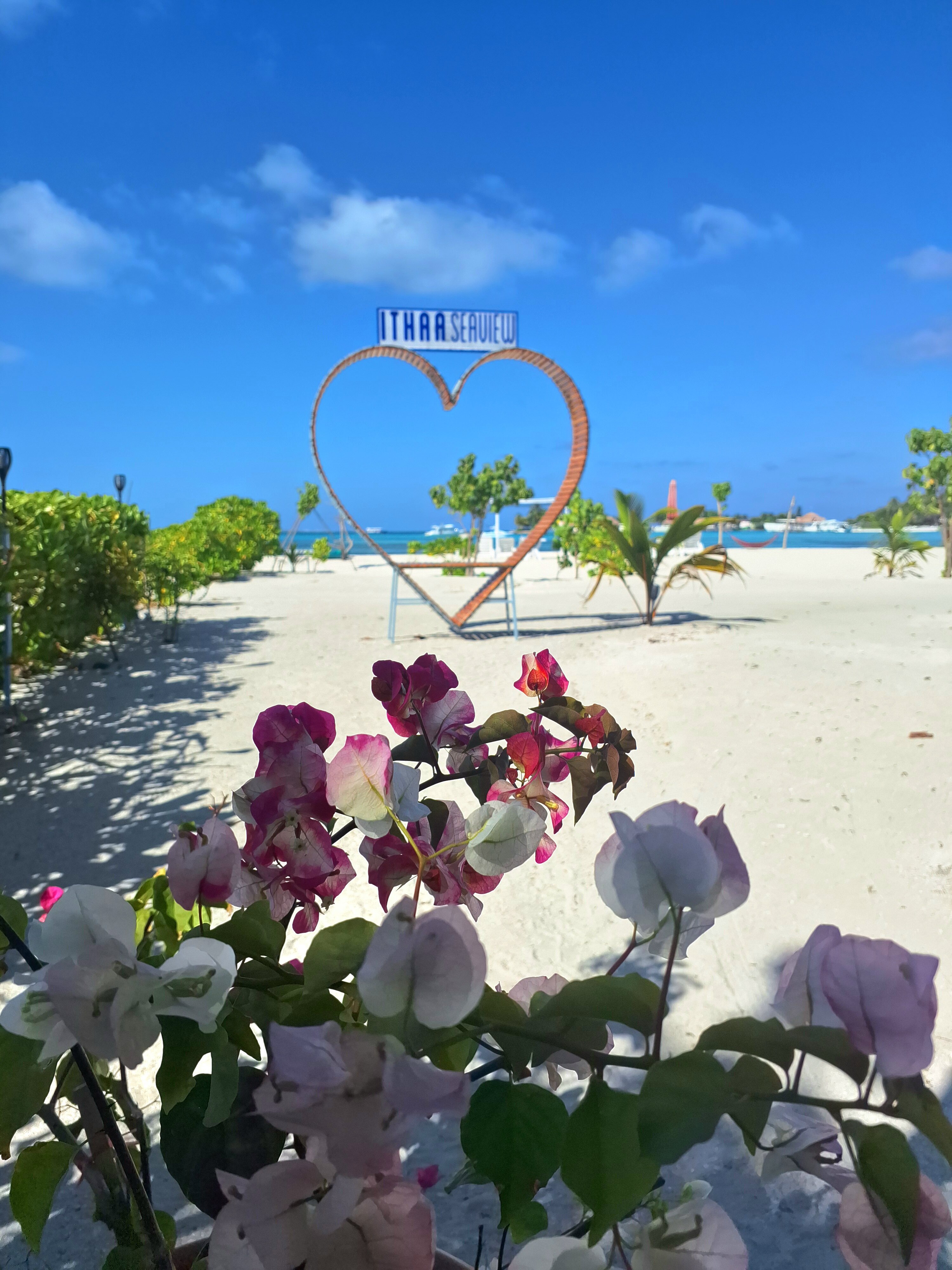 Фото Ithaa Seaview