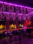 Dom Ostermana (Baumana Street, 70), nightclub
