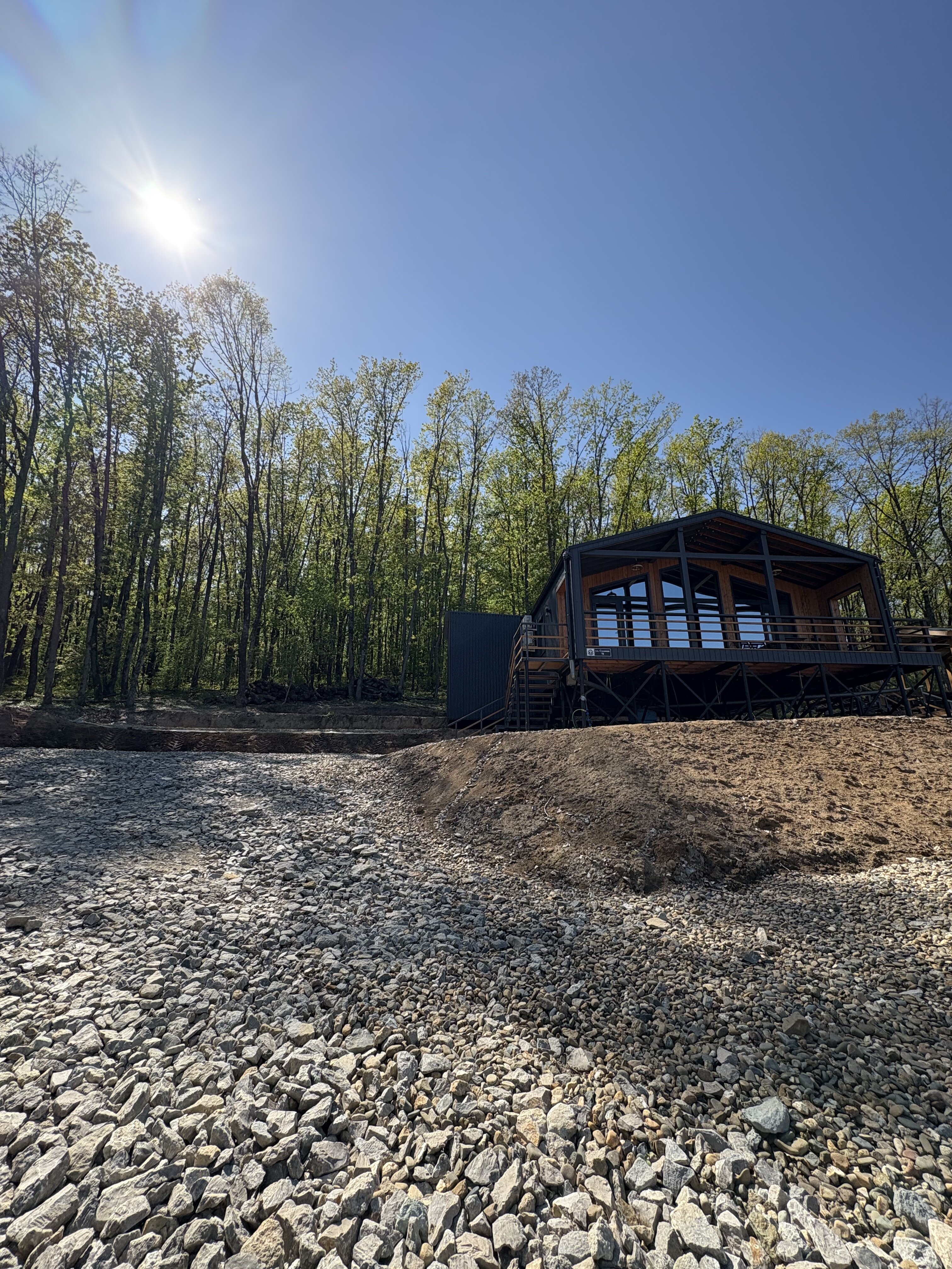 Фото Лес Азовская