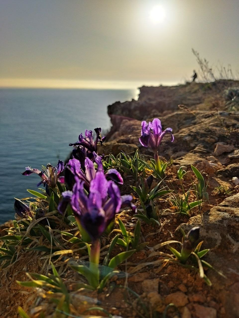 Фото Сияние