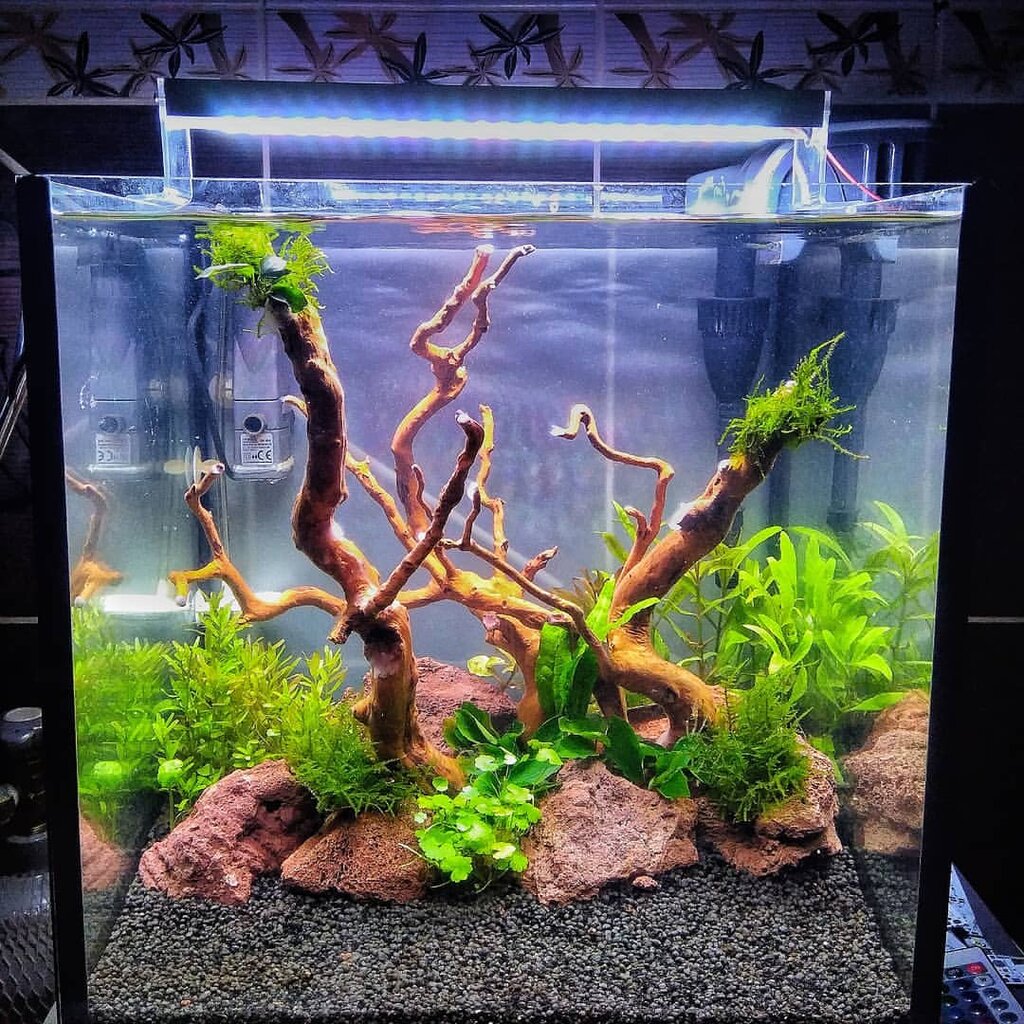 Management company Bitkili Akvaryumlar, Adapazari, photo