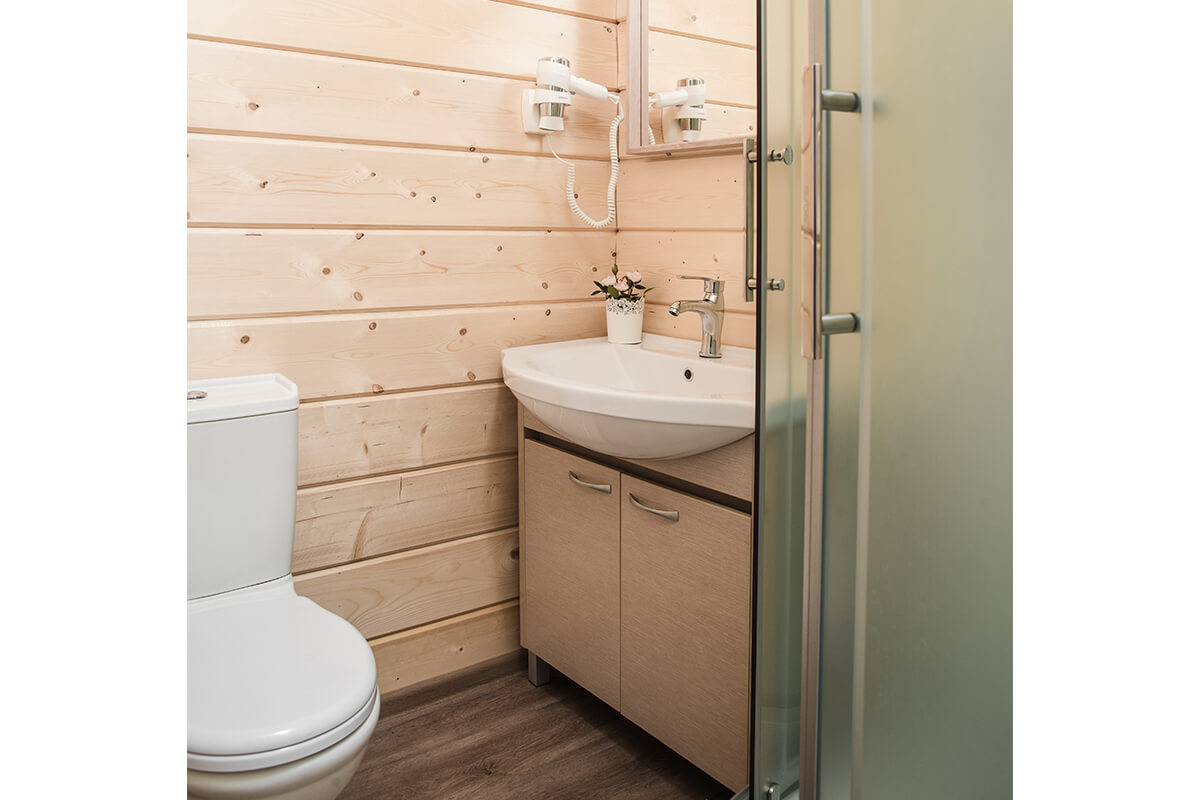 Фото Золотые Караси