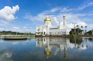 Гостиница The Brunei Hotel