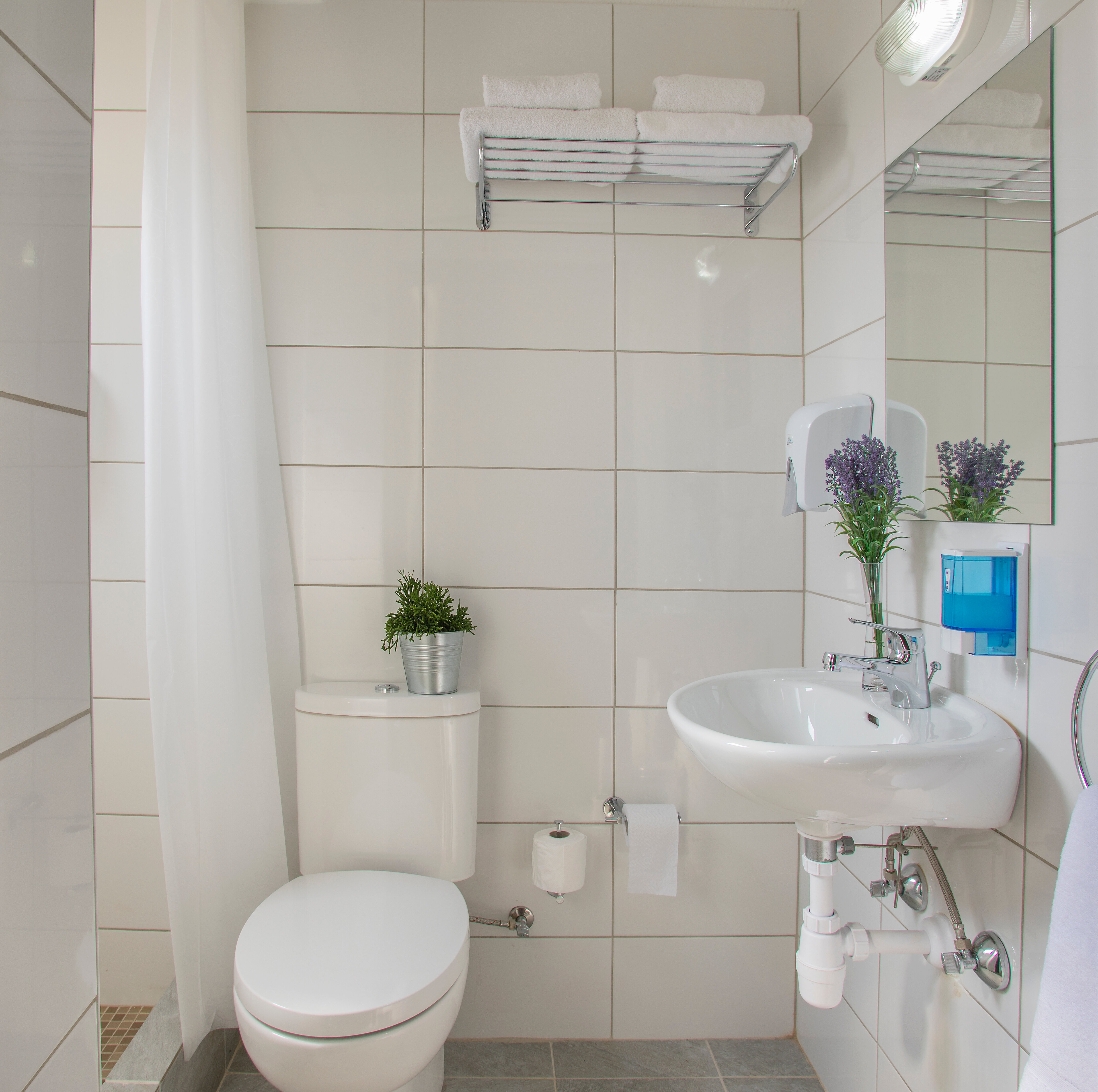 Фото Cactus Hotel