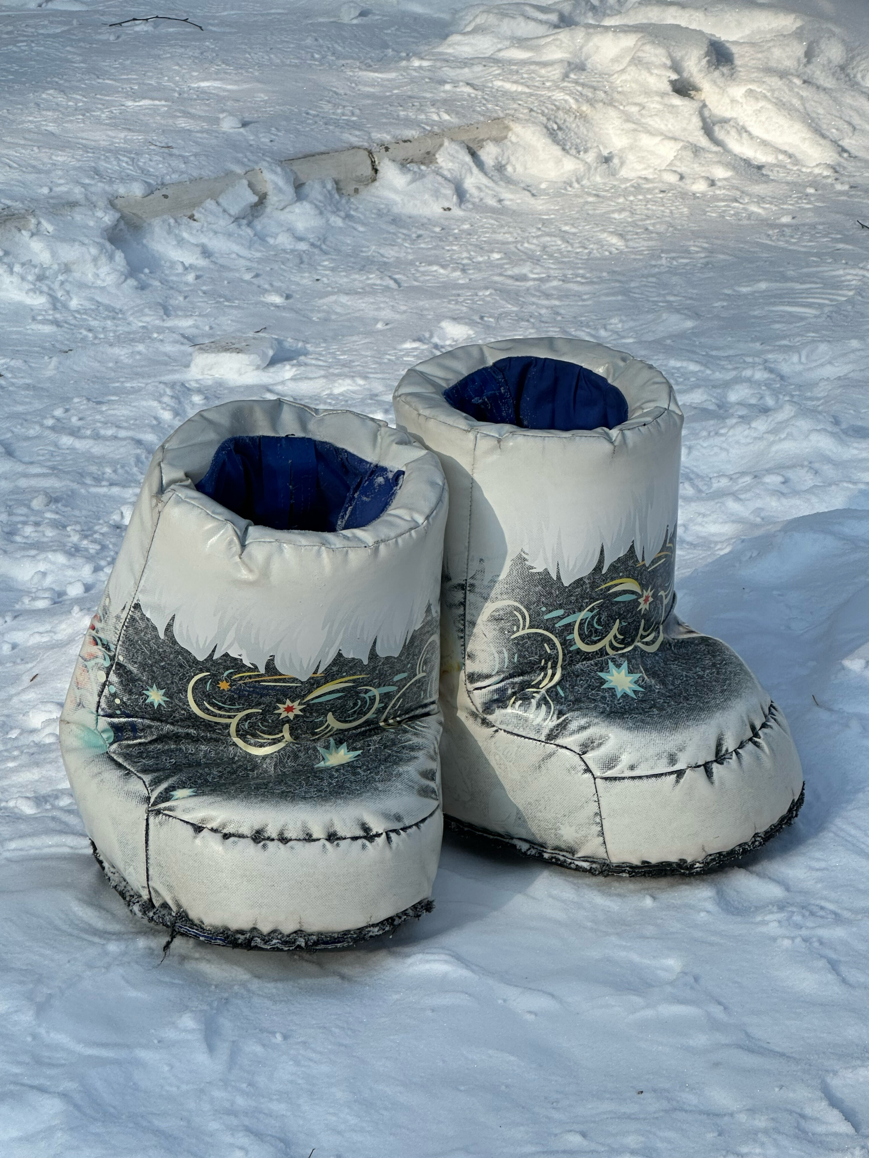 Фото Сосновый бор